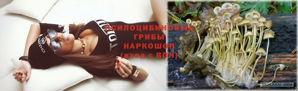 молекула духа Беломорск